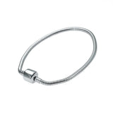 Titanium Steel Snake Bone Chain Bracelet