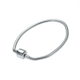 Titanium Steel Snake Bone Chain Bracelet