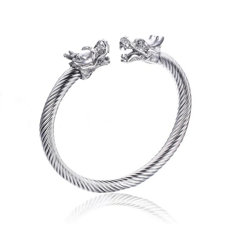Stainless Steel Double Dragon Men Bracelet Bangle