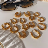 Stainless Steel Twisted Circle Earrings