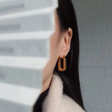 Stainless Steel Twisted Circle Earrings