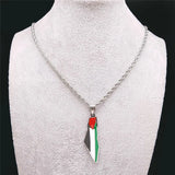 Stainless Steel Map Necklace Jewish Judaica Jerusalem Holy Land Keepsake