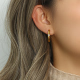 Stainless Steel Clear Zircon U Shape Hoop Earrings