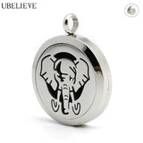 Stainless Steel Aromatherapy Diffuser Necklace Pendant