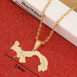 Stainless Steel Panama Map Pendant Necklace