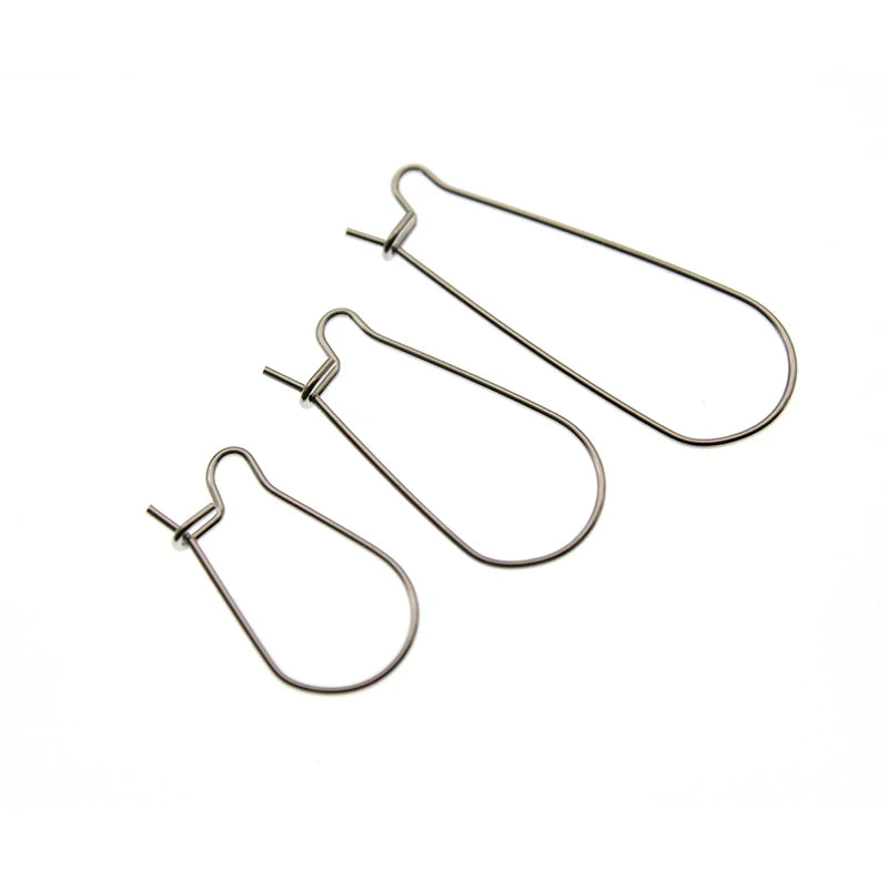 Stainless Steel French Earring Hooks for DIY Jewelry Making