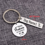 Personalized Pet Lover Keychain Set Stainless Steel Dog Cat Name Pendant Holder