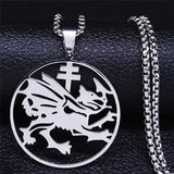 Stainless Steel Dragon Necklace Pendant Silver Symbol Of Dracula Chain Jewelry