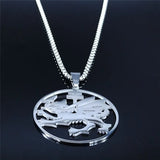 Stainless Steel Dragon Necklace Pendant Silver Symbol Of Dracula Chain Jewelry
