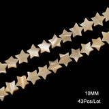 Natural Trochus Mother of Pearl Shell Beads for Jewelry Making