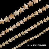Natural Trochus Mother of Pearl Shell Beads for Jewelry Making
