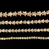Natural Trochus Mother of Pearl Shell Beads for Jewelry Making