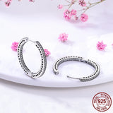 Sterling Silver Zircon Stud Earrings For Women