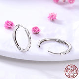 Sterling Silver Zircon Stud Earrings For Women
