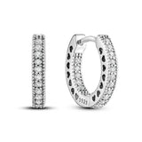 Sterling Silver Zircon Stud Earrings For Women