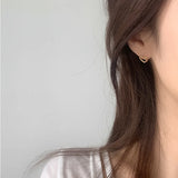 Sterling Silver Cold Wind Earrings All-Match Silver Jewelry