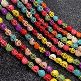 img_12032251