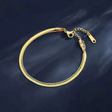 Double Snake Chain Stainless Steel Female Anklet - Timeless Colour