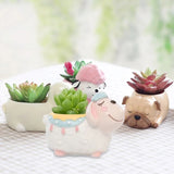 Resin Succulent Flower Pot Mold for DIY Garden Decor