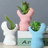Succulent Flower Pot Mold DIY Crafts