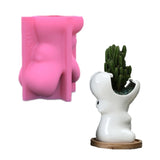 Succulent Flower Pot Mold DIY Crafts