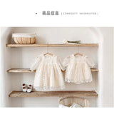 Summer Baby Sister Princess Lace Fart Dress