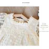 Summer Baby Sister Princess Lace Fart Dress