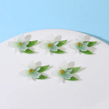 30pcs Acrylic Floral Beads for DIY Jewelry Earring/Garment Pendant