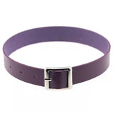 Retro Harajuku Punk Rock Leather Collar Necklace