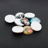 Cat Dragon Doll Eyes Glass Cabochons DIY EY504