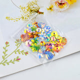 DIY Colorful Paillette Dried Flower Shell Fruit Slices for Resin Crafts