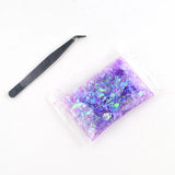 DIY Colorful Paillette Dried Flower Shell Fruit Slices for Resin Crafts