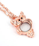 6pcs Mixed 35mm*40mm Owl Locket Pendants for Women