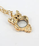 6pcs Mixed 35mm*40mm Owl Locket Pendants for Women