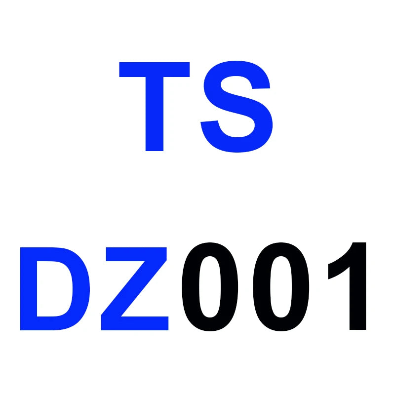 TS Pendant DZ001
