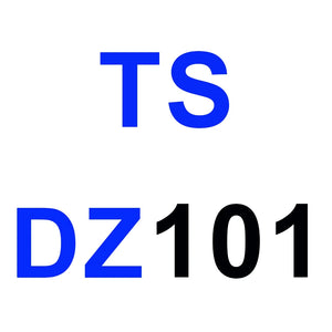 TS Spanish Bear Pendant DZ101