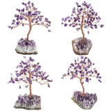 Luck Money Crystal Tree With Reiki Healing Amethyst Quartz Base