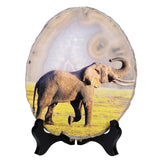 Natural Irregular Agate Slices with Wooden Base Stand Ornaments