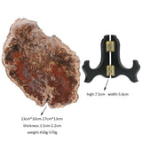 Natural Petrified Wood Stone with Wooden Stand Reiki Healing Stone Slab Specimen