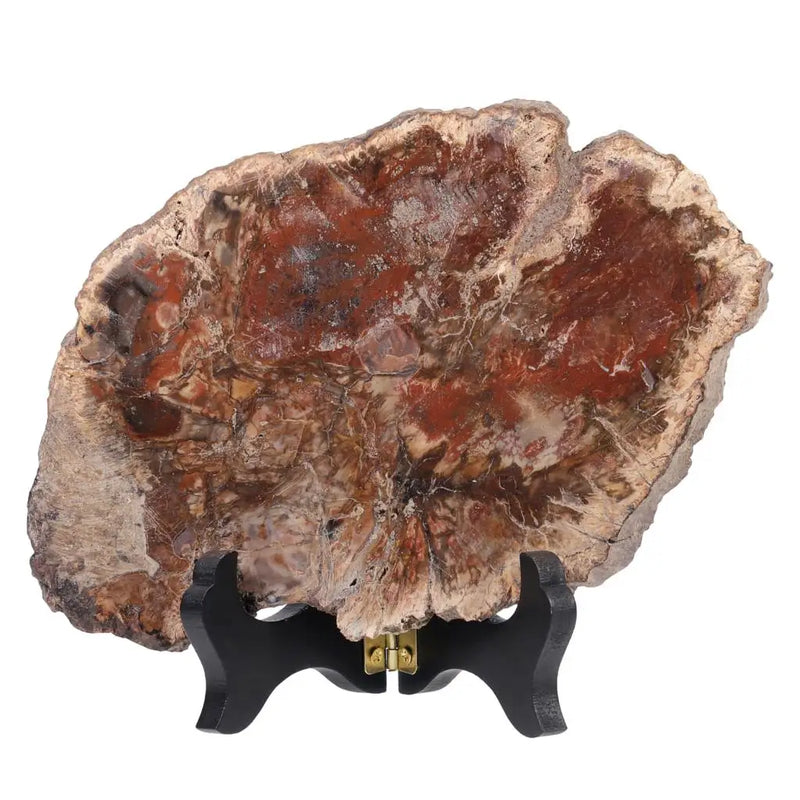 Natural Petrified Wood Stone with Wooden Stand Reiki Healing Stone Slab Specimen
