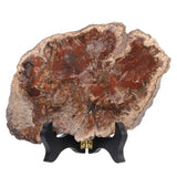 Natural Petrified Wood Stone with Wooden Stand Reiki Healing Stone Slab Specimen