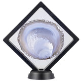Agate Slice Display Box for Room Decor