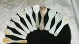Cavia Spoon Natural Shell Spoon