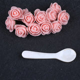 Cavia Spoon Natural Shell Spoon