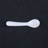 Cavia Spoon Natural Shell Spoon
