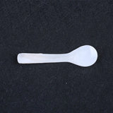 Cavia Spoon Natural Shell Spoon