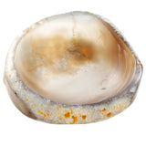 Agate Tea Light Candle Holder / Air Plant Holder for Room Decor