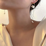 Baroque Pearl Pendant Earrings European American Style