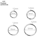 G23 Titanium Nose Ring with Zircon Inlay Piercing Jewelry