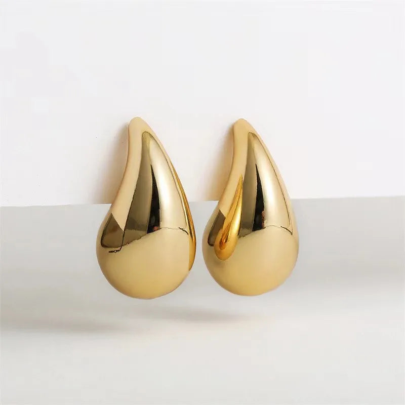 Big Drop S925 Silver Needle Earrings Retro Chunky Party Jewelry